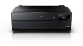 Epson Surecolor P800打印机丝网印刷版